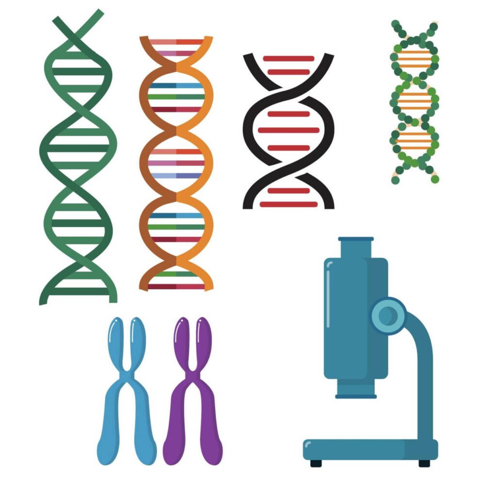 DNA double helix scientific vector set