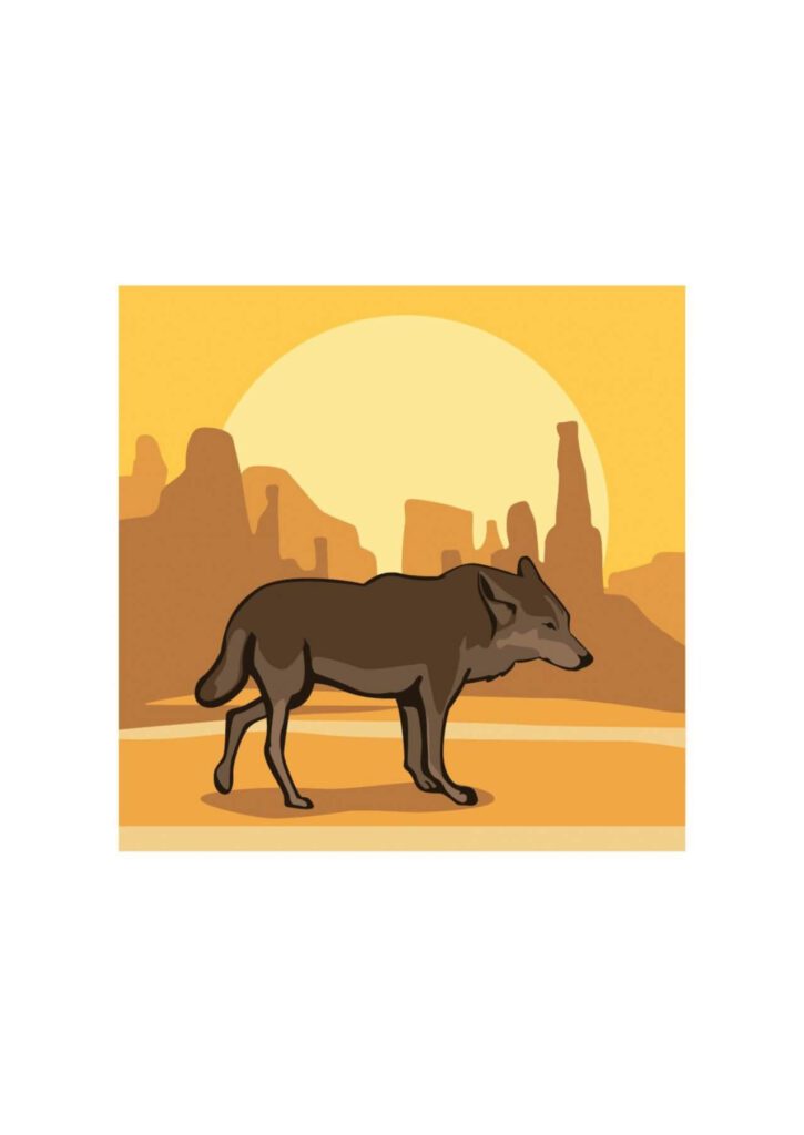 Desert Wolf at Sunset