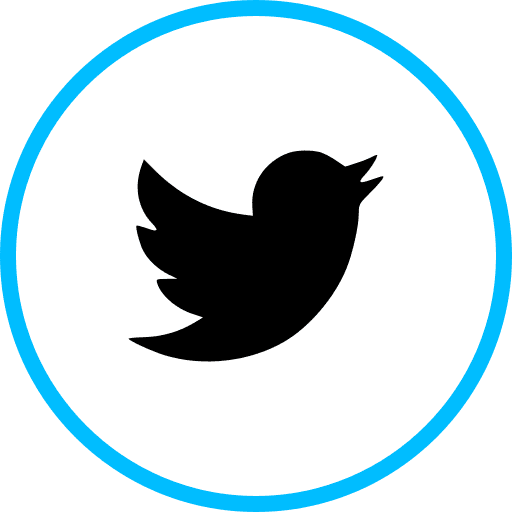 Twitter, logo, social icon