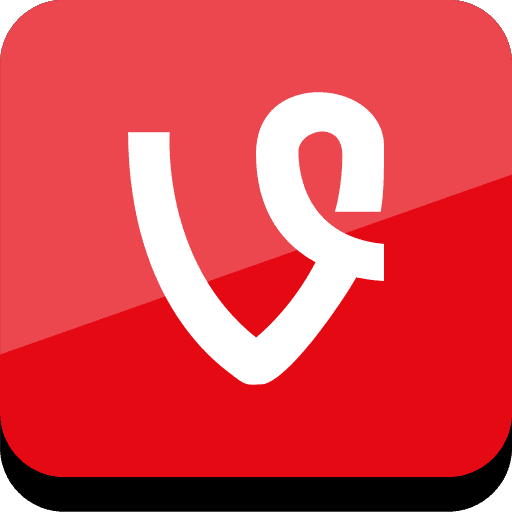 Vine, social, online icon