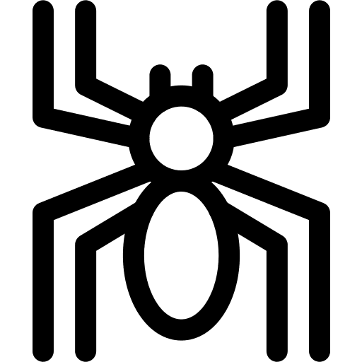 Spider, cobweb, animal icon