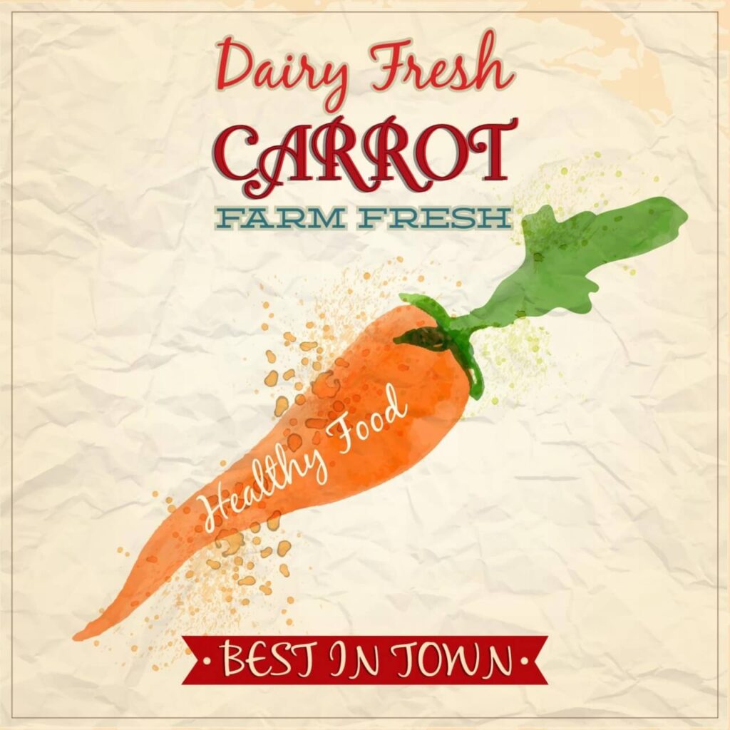 Vintage watercolor carrot with typography