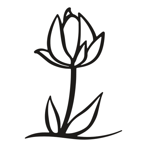 Flower, growth, leaf icon