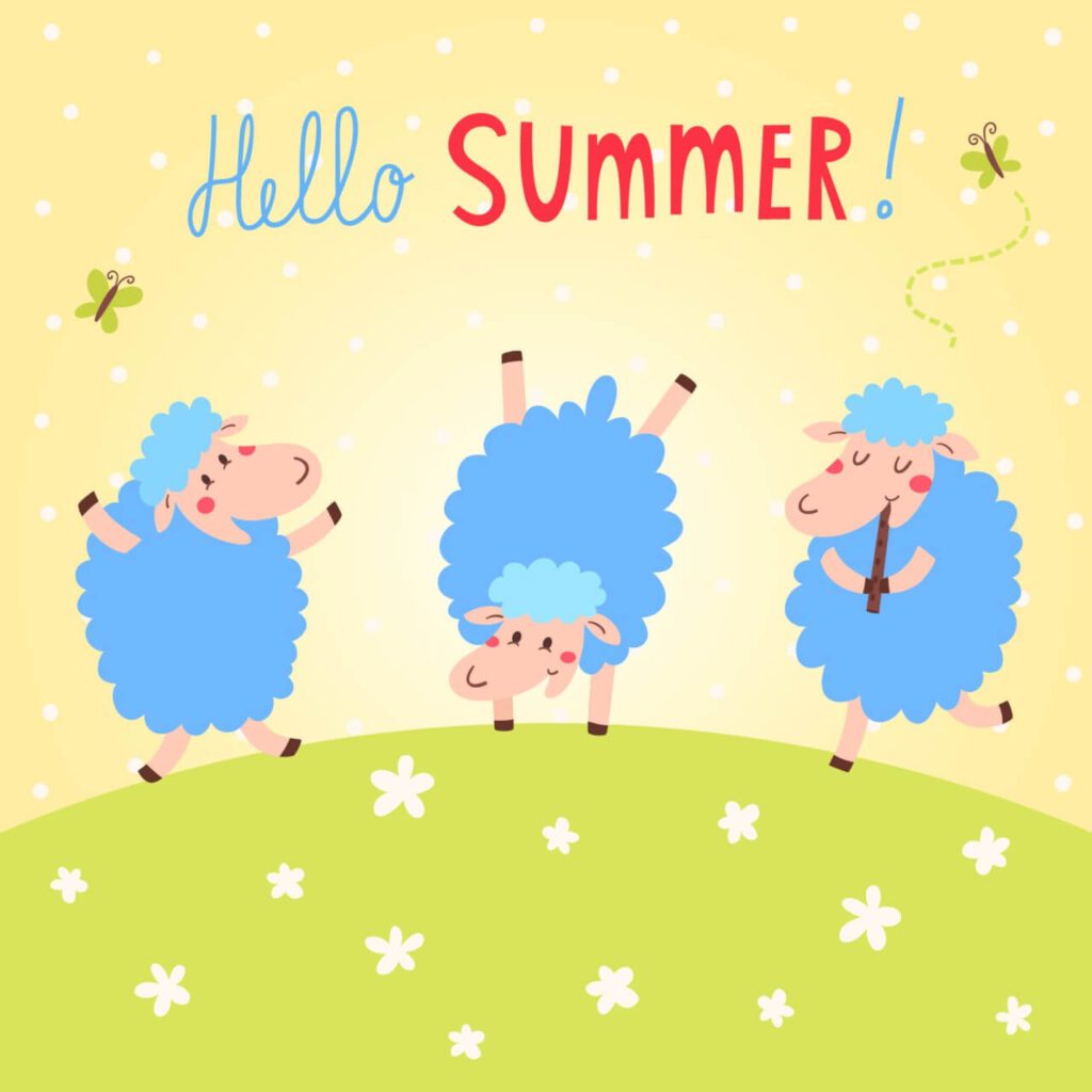 Hello Summer vector card with cute sheeps