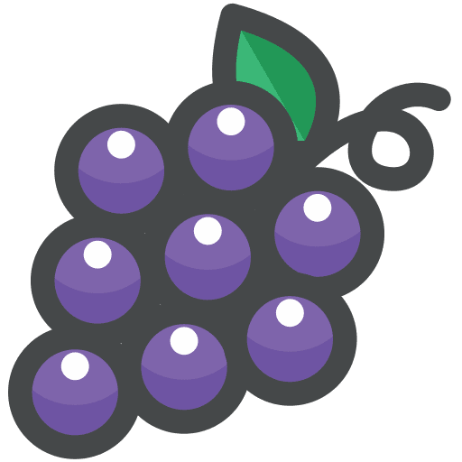 Food, fruit, grape icon