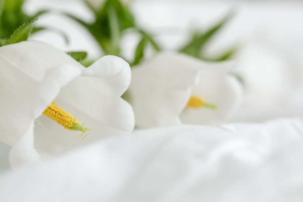 Mockup photo – white bedding – flowers – blank sheet – square Stock Free