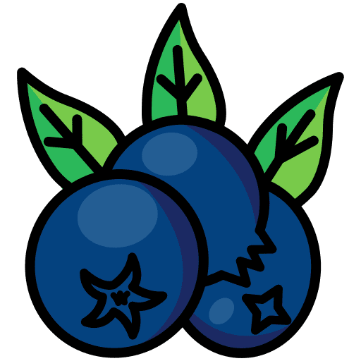 Berries, berry, blue berries icon