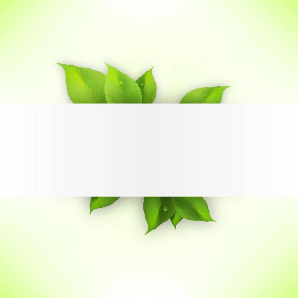 Realistic green leaves banner