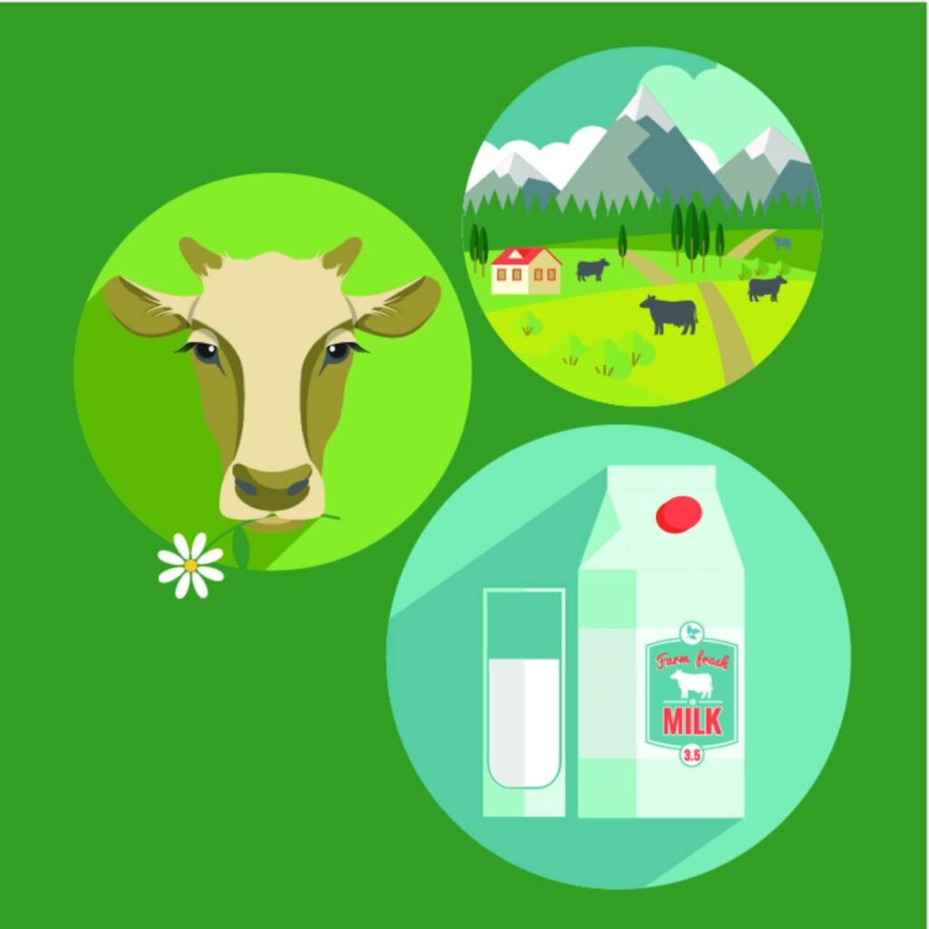 Vector flat design illustration of milk. Design elements