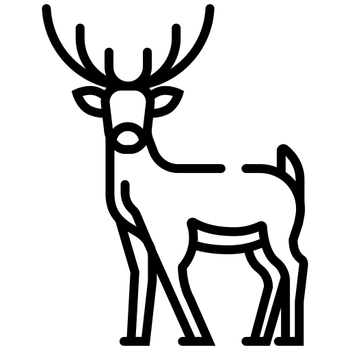 Animal, antler, deer icon