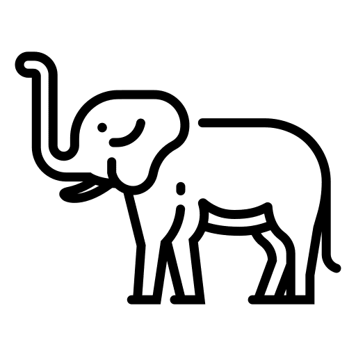 Africa, animal, elephant icon