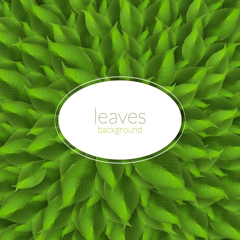 Green leaves texture with modern label