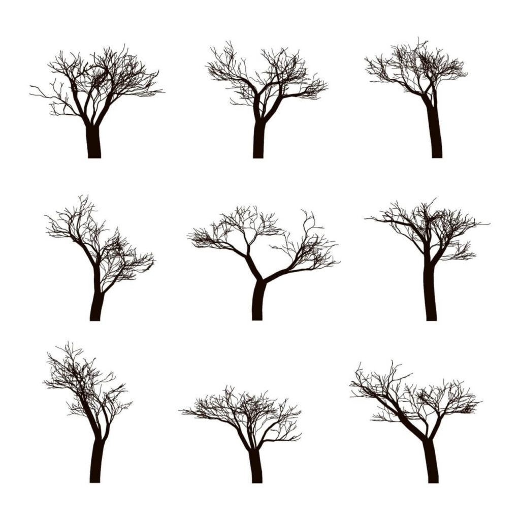 Dead trees Silhouettes