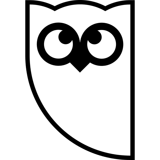 Hootsuite icon