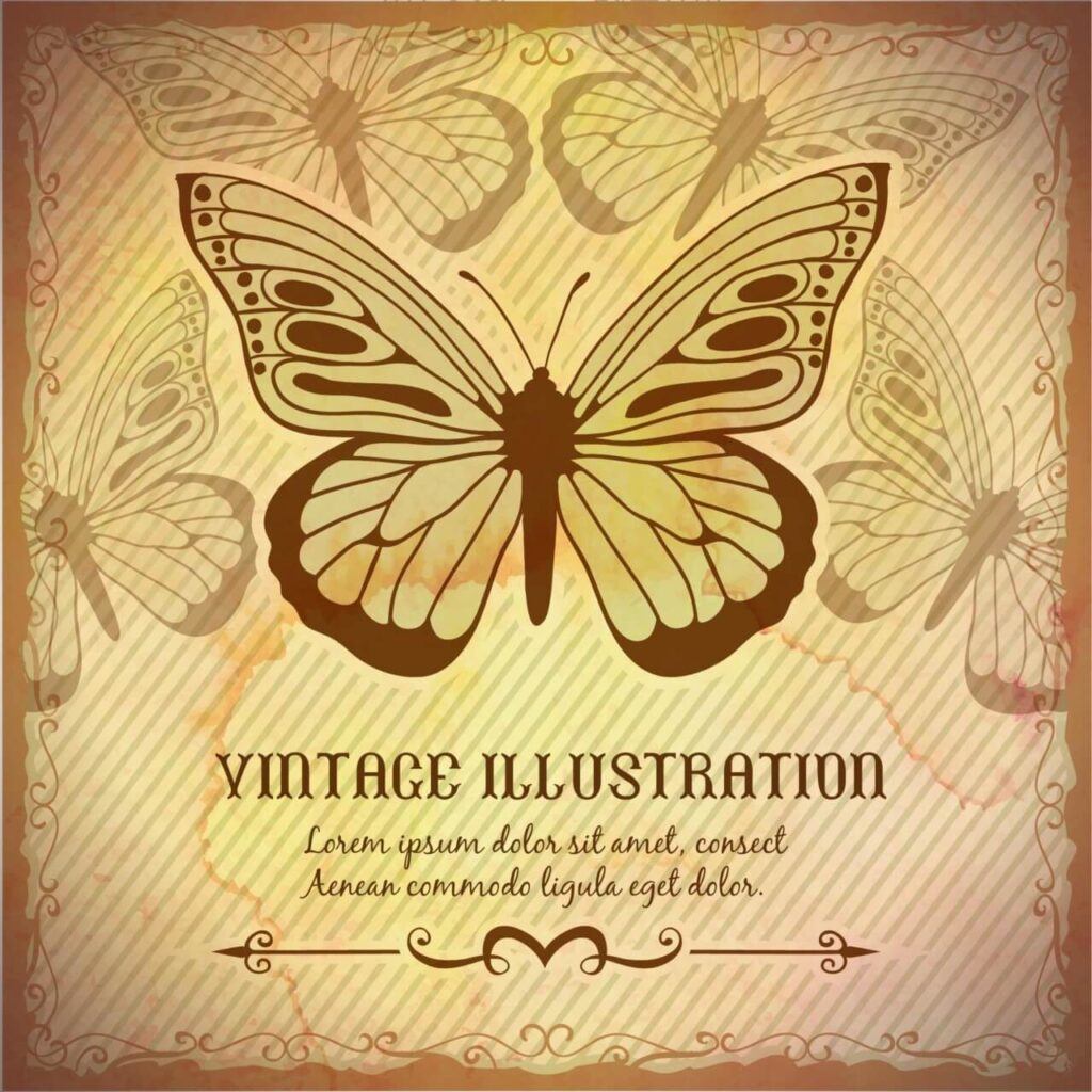 Vintage background with butterfly