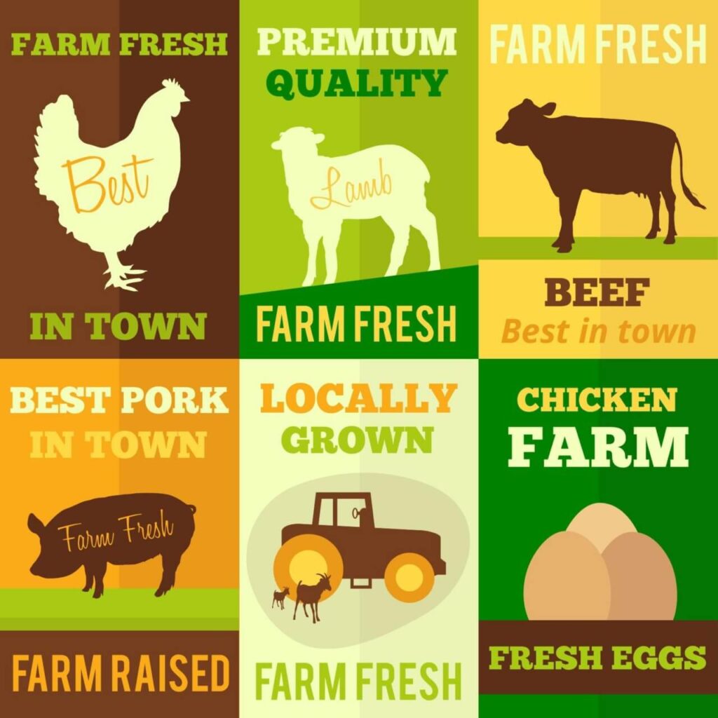 Farm products flat design concept cards