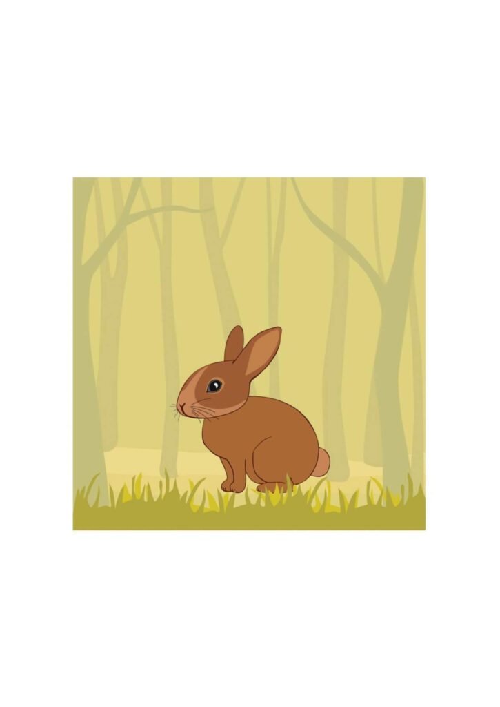 Cute Rabbit In the Forest