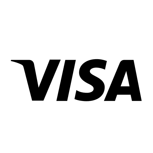 Card, credit, visa icon