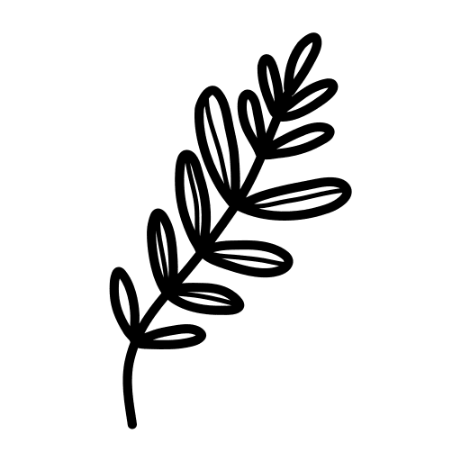 Botanical, nature, plant icon