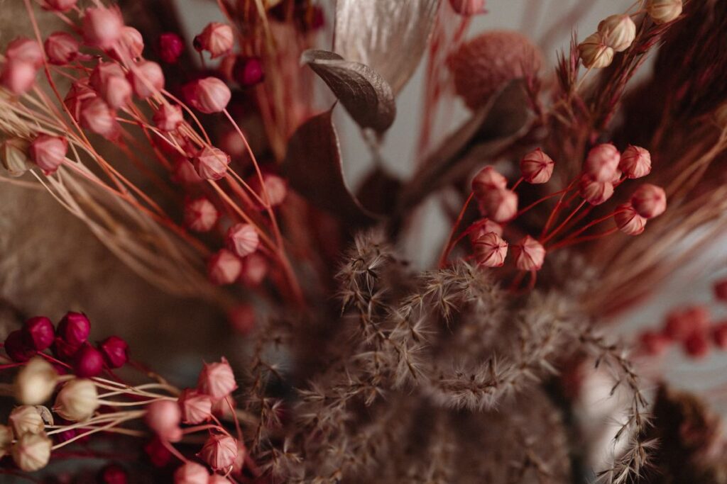 The Delicate Beauty of Dried Pink Flax -Dried and Preserved Flowers – Home Interior Decor Stock Free