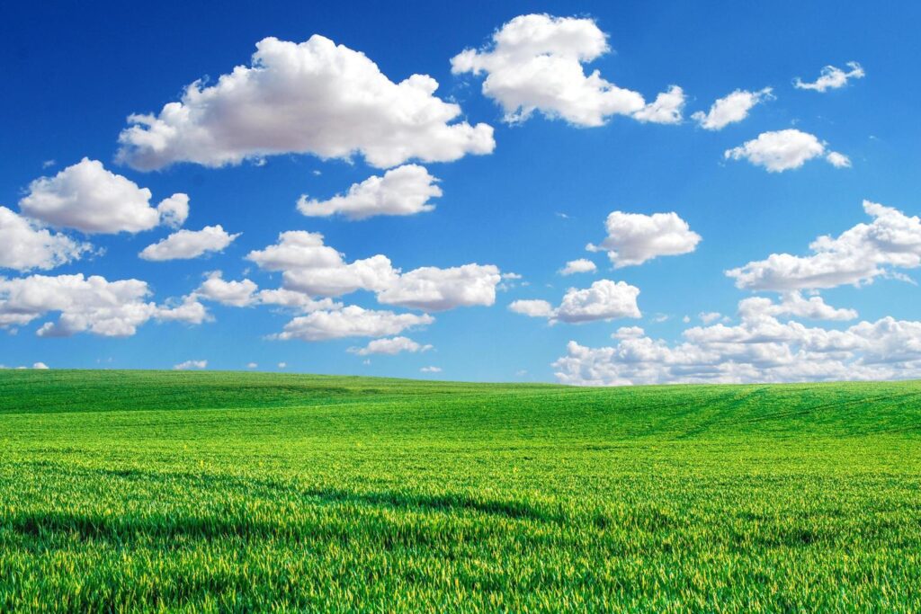 A large meadow in the background is the sky. nature background image concept Free Photo