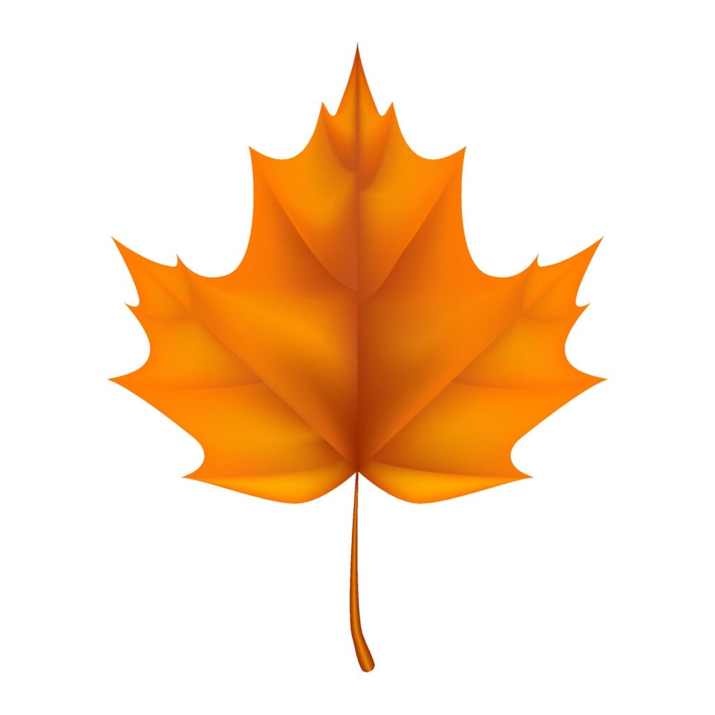 A realistic illustration of a orange maple leaf, capturing the essence of autumn. Not . Free Vector