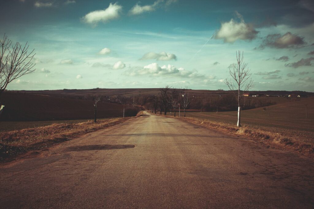 A Road After Winter Free Photo