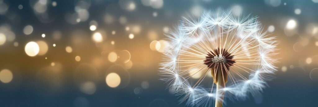 Abstract blurred nature background dandelion seeds parachute. Bokeh pattern. Generative AI Stock Free