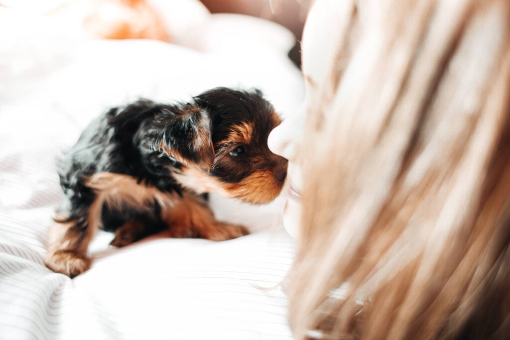 Adorable Puppy Licking Young Woman’s Face Free Photo