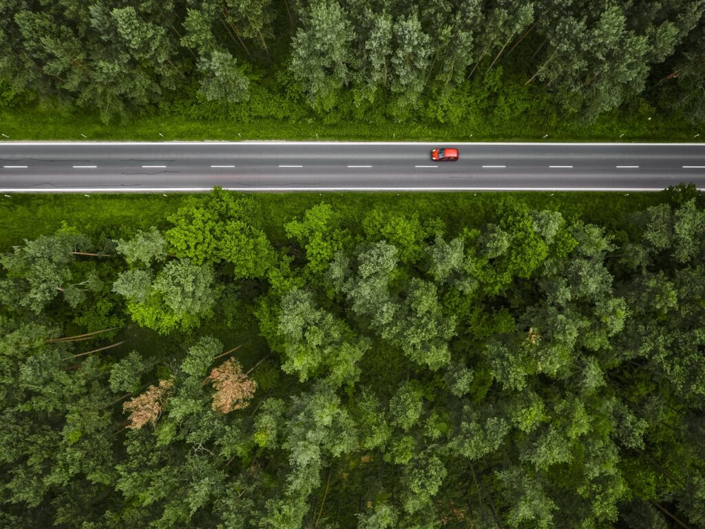 Aerial and Symmetric View of a Road in the Woods Free Photo