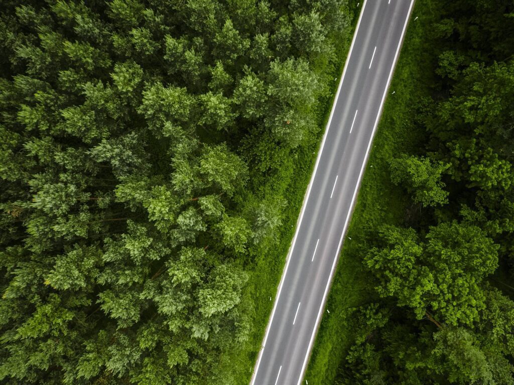 Aerial View of a Lonely Road in the Woods Free Photo