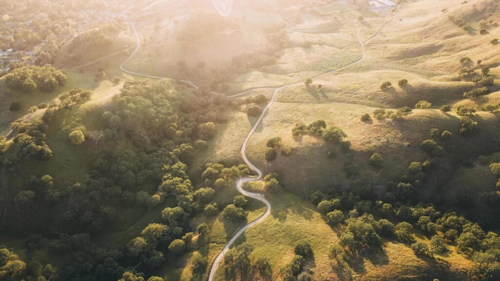 Aerial view over field Stock Free