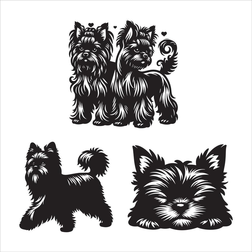 Affenpinscher dog silhouette icon graphic logo design Stock Free