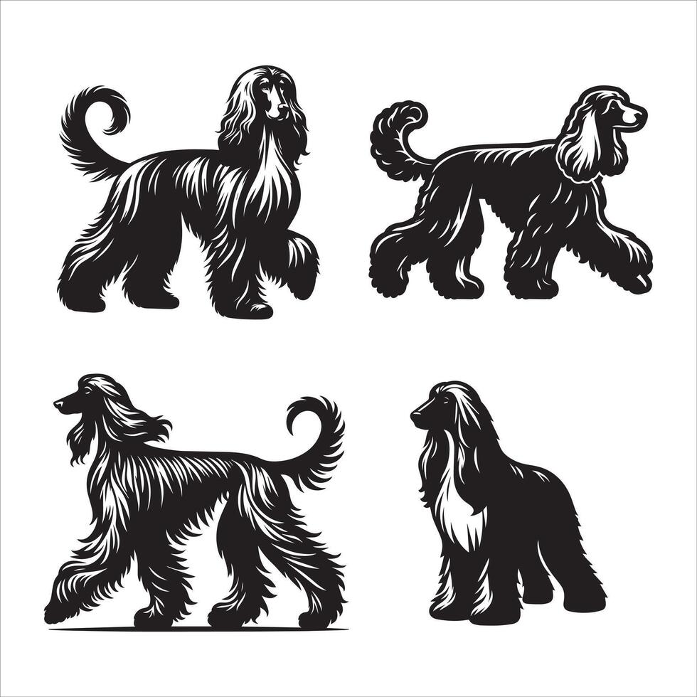 Afghan Hound silhouette icon graphic logo design Stock Free