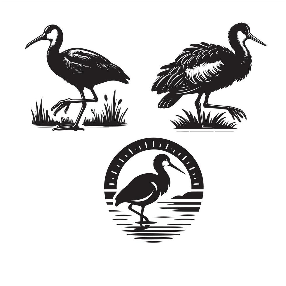 African Jacana silhouette icon graphic logo design Stock Free