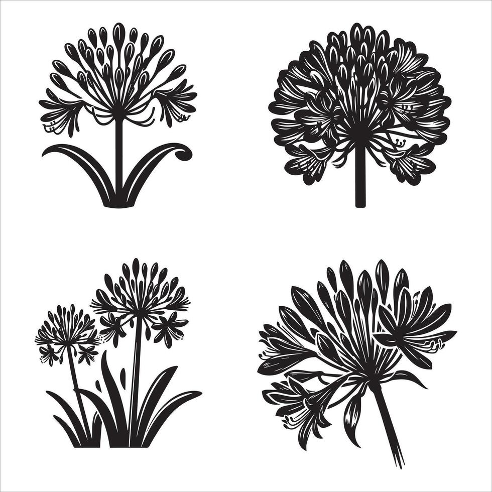 Agapanthus silhouette icon graphic logo design Stock Free