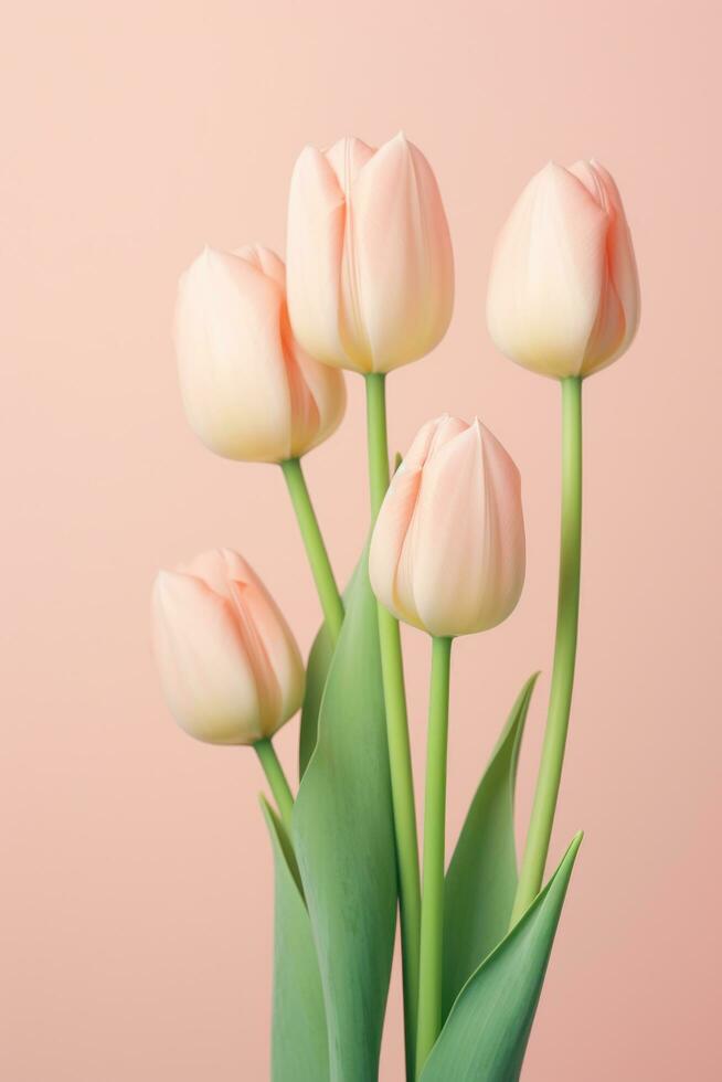 AI generated a few pretty pink tulips on a pink background, Stock Free