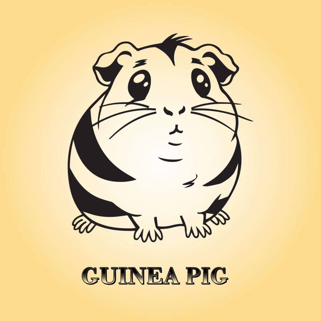 A Guinea pig Cartoon vector illustration is on a yellow background Free Vector