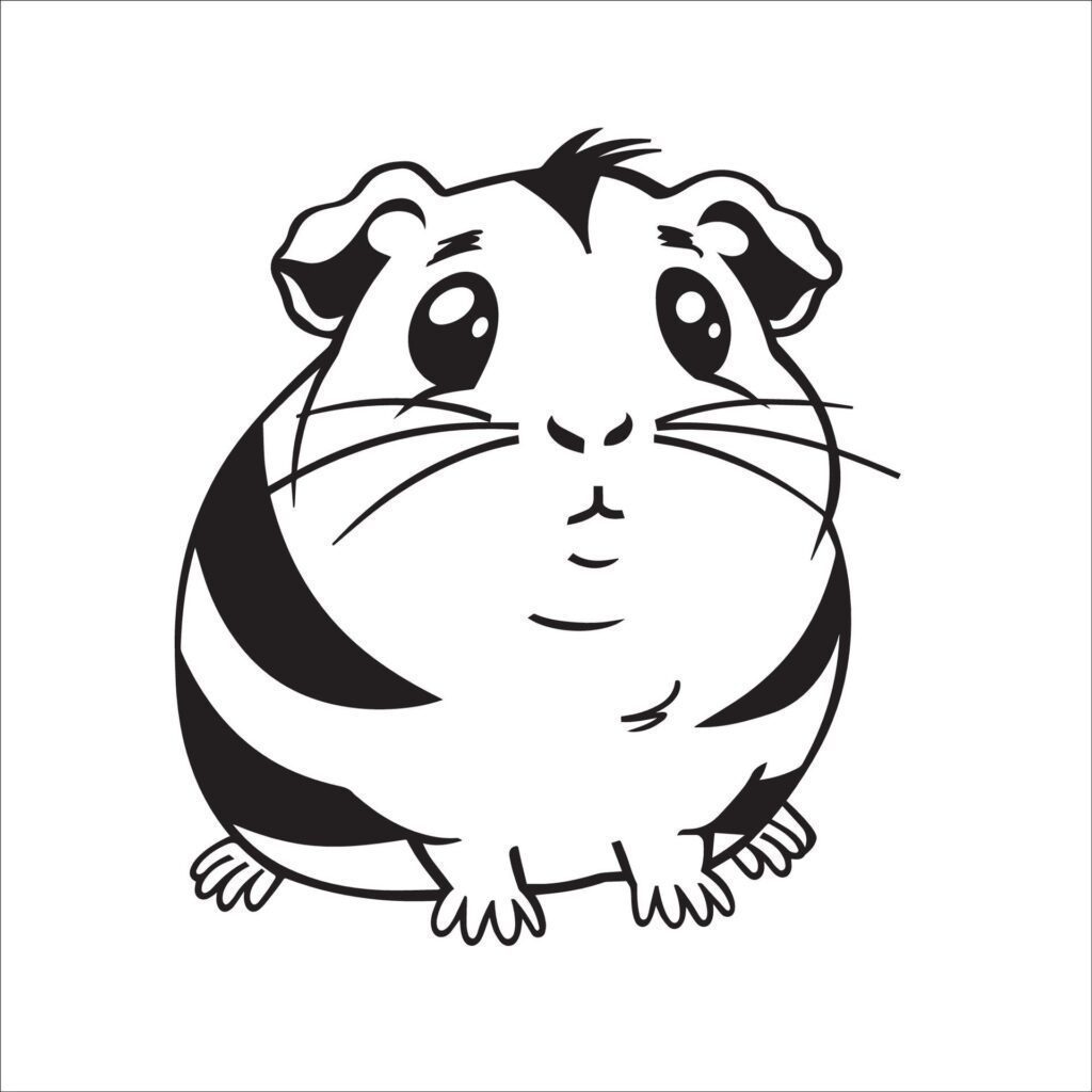 A vector illustration of a black and white Guinea pig sitting Free Vector