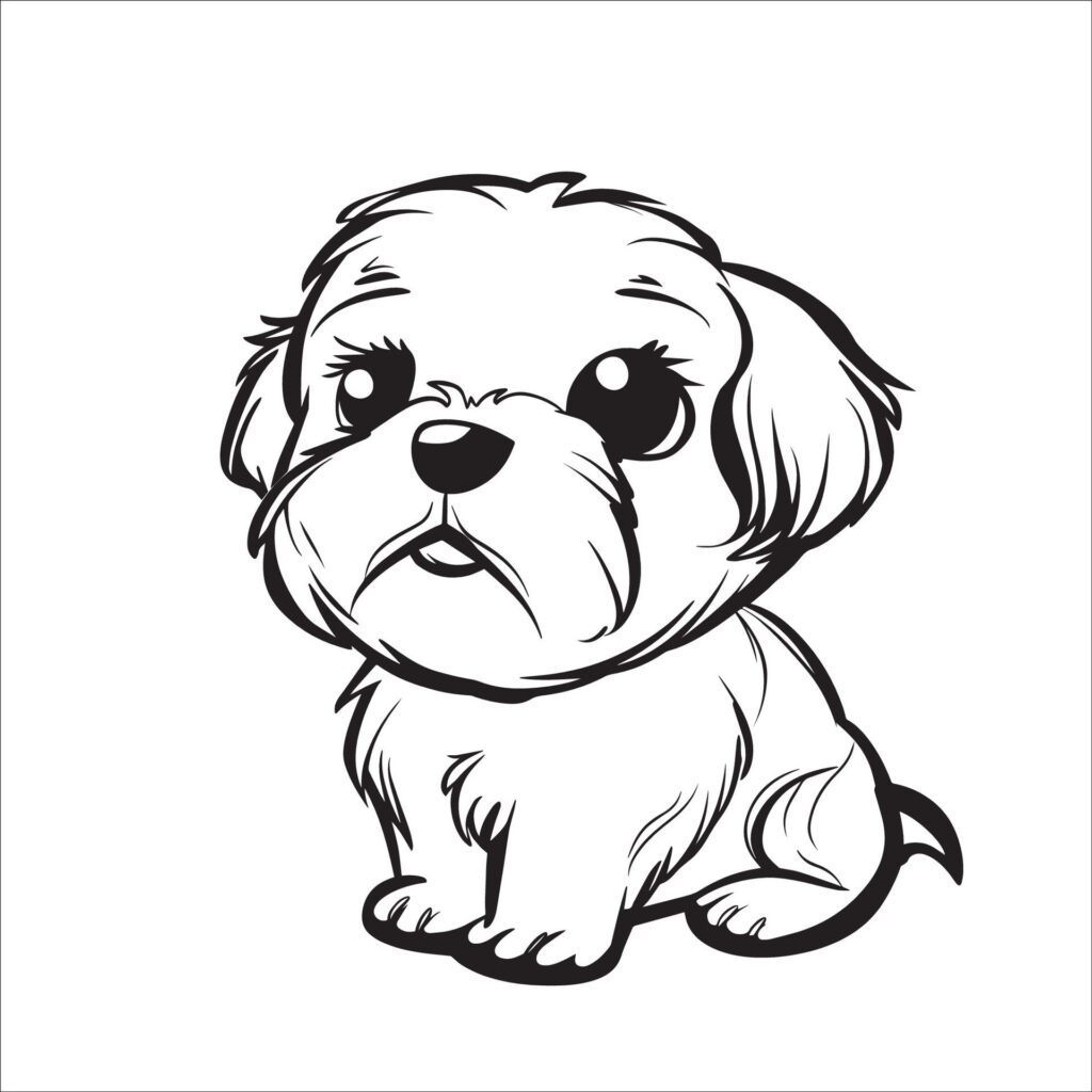 A vector illustration of a black and white Havanese dog sitting Free Vector