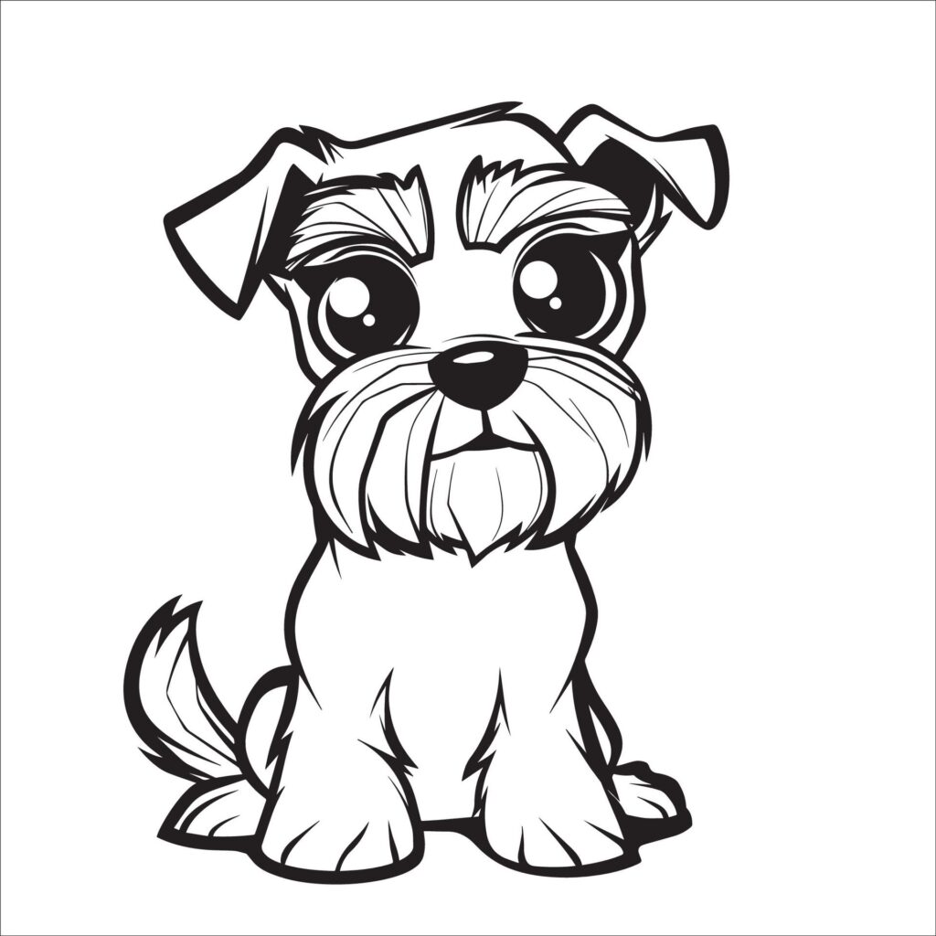 A vector illustration of a black and white Miniature Schnauzer dog sitting Free Vector