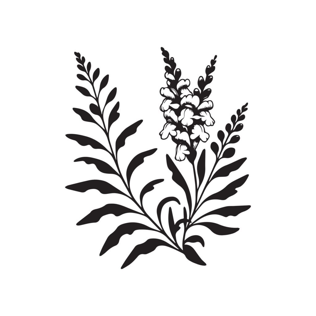 Antirrhinum flower silhouette black and white illustration Free Vector