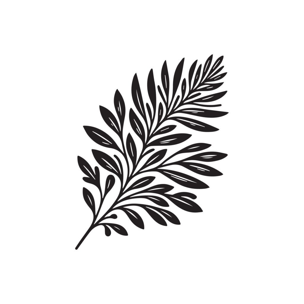 Aster flower silhouette black and white illustration Free Vector