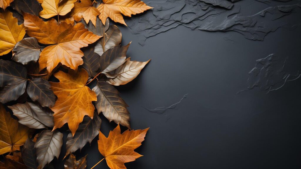 AI generated Autumn leaves and a sheet of parchment paper on a dark gray background from above. With space for text. Minimal Thanksgiving and Halloween Seasonal Design Art. Stock Free