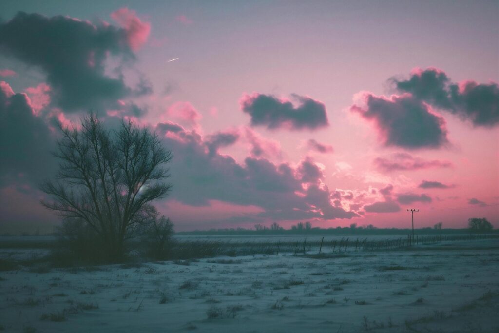 Beautiful winter landscape with trees in the snow and pink sky. Free Photo