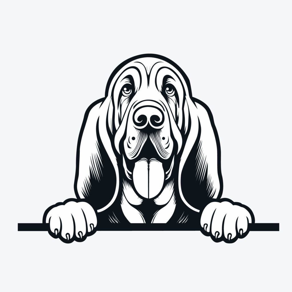 Black And White Bloodhound peeking face illustration vector Free Vector