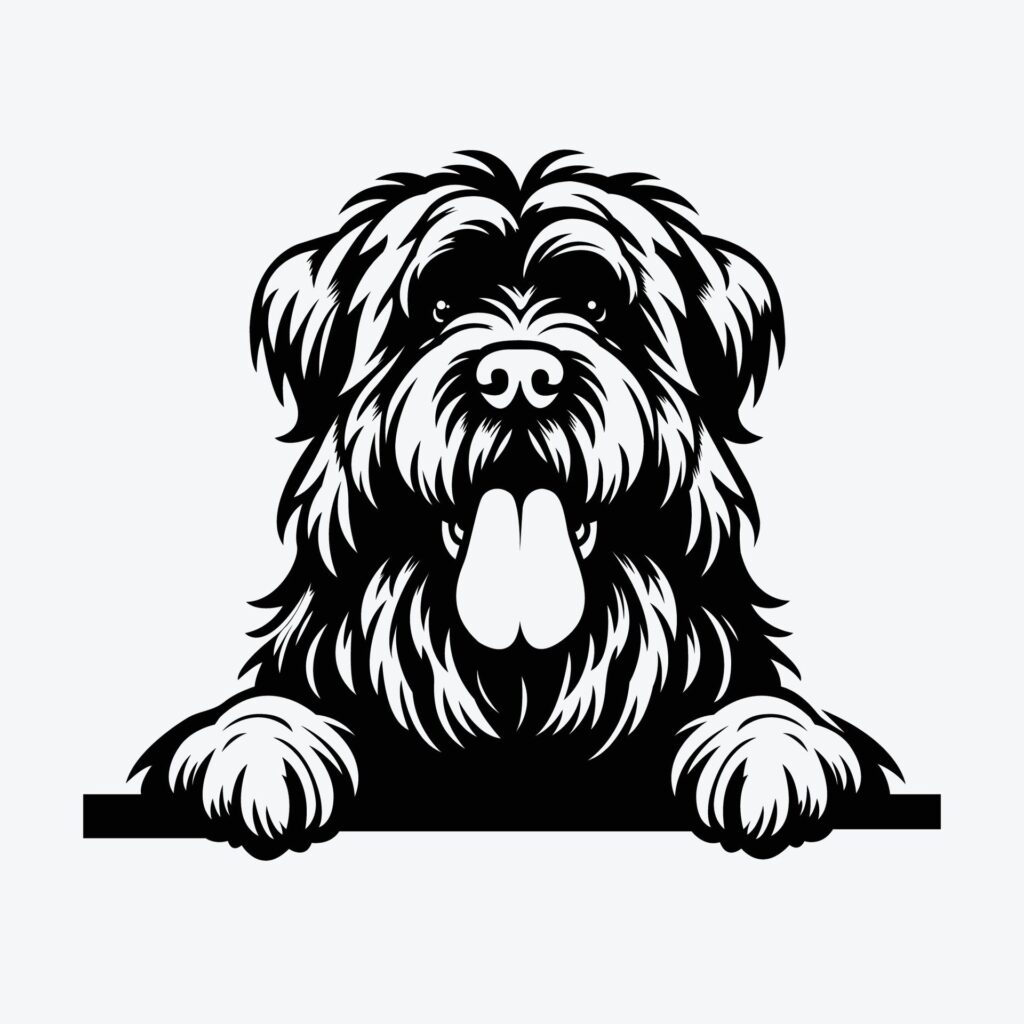 Black And White Bouvier des Flandres peeking face illustration vector Free Vector