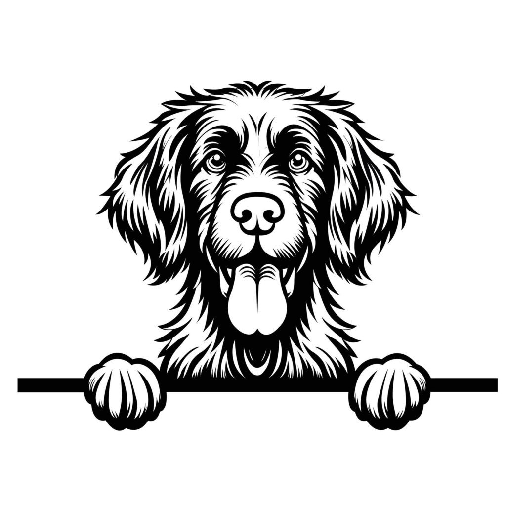 Black And White German Wirehaired Pointer dog peeking face illustration vector Free Vector