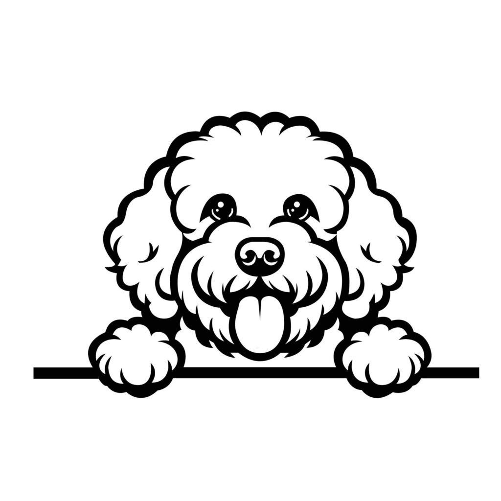 Black And White Lagotto Romagnolo peeking face illustration vector Free Vector