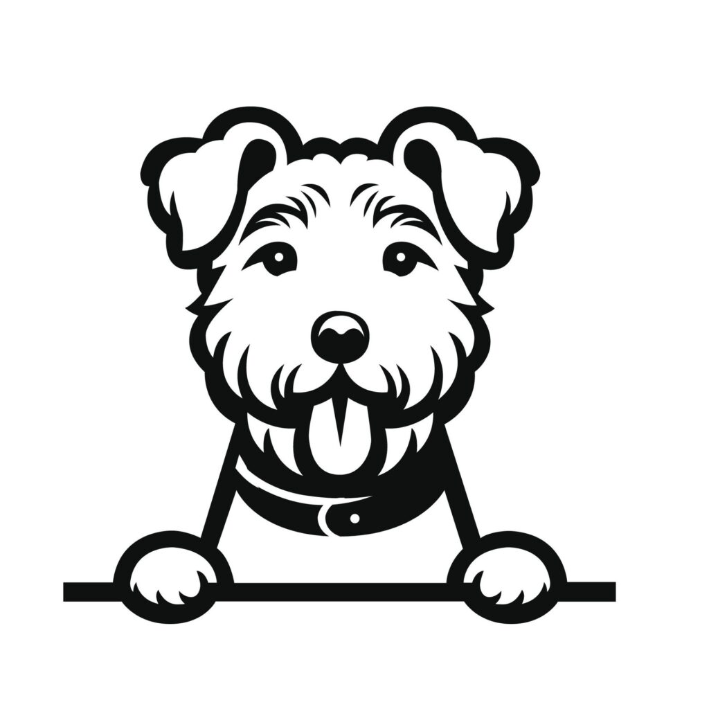 Black And White Lakeland Terrier peeking face illustration vector Free Vector